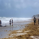 A stranded Gervais’ beaked whale in Florida.